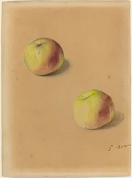Zwei Äpfel